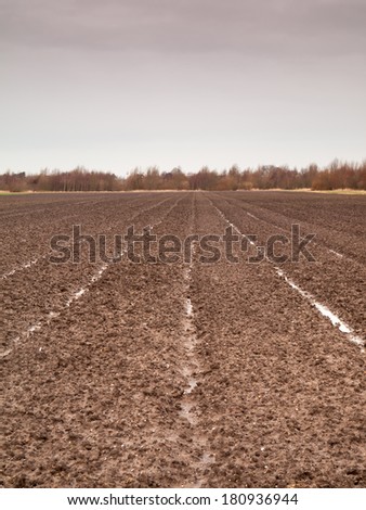 tilled field in the winter