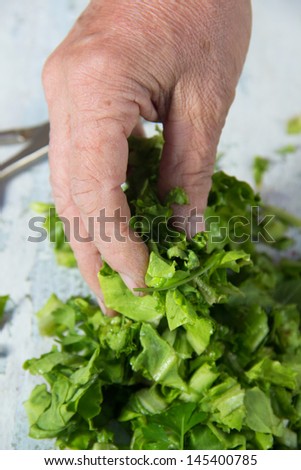 female hand holding a Chopped salad