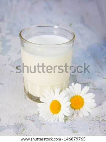 glass with milk and camomiles a shabby wooden background