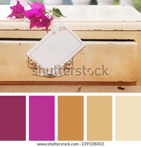 color palette swatches. pastel hues