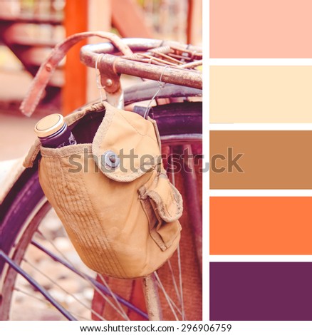 old-fashioned bicycle.  colour palette swatches. Retro vintage effect