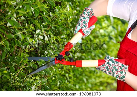 Gardening, trimming hedges, young girl working in the garden with a pair of scissors