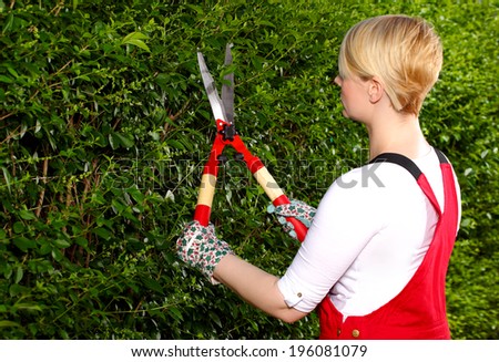 Gardening, trimming hedges, girl trimmed hedge