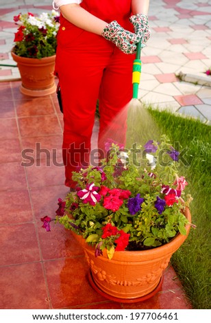 Watering the garden with a hand sprayer on a hose. Focus on the sprayer head. Technique for garden irrigation.2