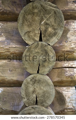 Cross-section of a wooden log texture