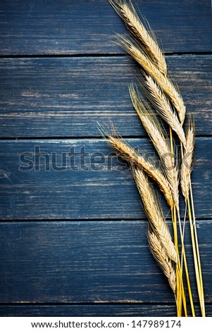 Golden Wheat On Navy Blue Rustic Wooden Board Frame