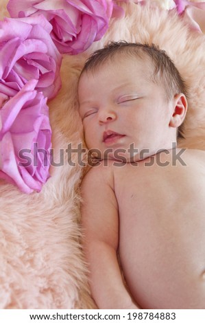 Newborn baby sleeping next to pink roses on soft fabric background/Closeup of newborn baby sleeping next to roses.