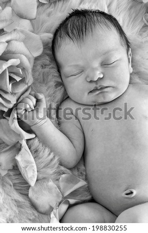 Newborn baby sleeping next to roses on soft fabric background in black and white format/Closeup of newborn baby sleeping next to roses in black and white