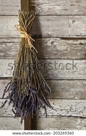 A dried bunch of lavender flowers hanging up on an old textured wooden wall/Dried lavender flowers hanging on a wall in an old barn