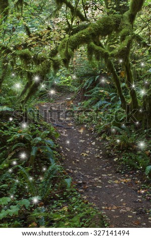 Magical Fairy lights on mossy forest path/Enchanted Mossy Forest with star twinkles of Fairy lights