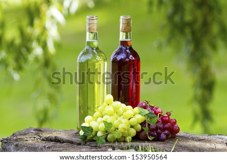 Bottles of wine and grapes in the sun.