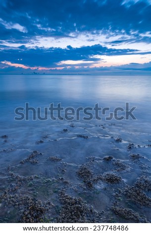 Beach shore at sunrise with view on a distant city