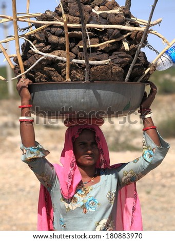 RAJASTHAN, INDIA - FEB 27 : women carry a basin full of cow dung on their head on February 27, 2013 in Rajasthan, India. Cow dung will be caked, dried and used as cooking fuel for villagers in India.