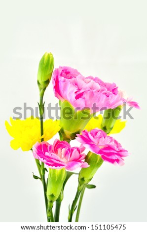 Beautiful Bunch of carnation and yellow flowers on white background