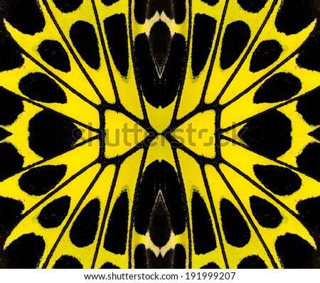 Yellow and Black background pattern made from bird wing butterfly wing skin