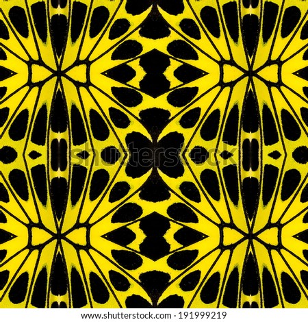 Special pattern background from yellow and black bird wing butterfly wing skin