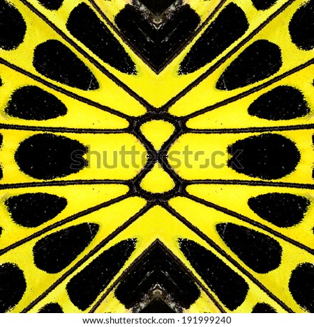 Circle of yellow and black pattern made from bird wing butterfly wing