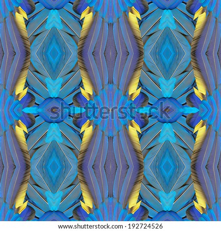 Background texture made from blue and gold macaw feathers in the pattern