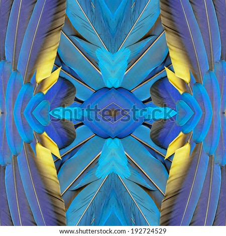 Background texture made from blue and gold macaw feathers