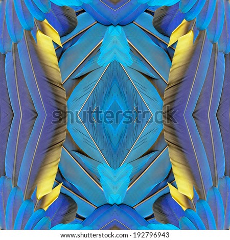 Beautiful Background Pattern designed from Blue and Gold Macaw bird wings texture