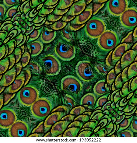 Velvet Green background texture made from indian peacock feathers texture