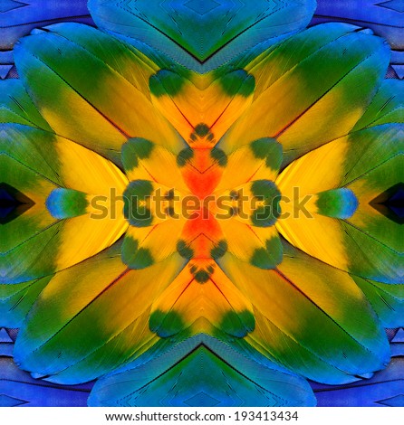 Close up of Blue and Yellow background pattern made from blue and gold macaw bird feathers