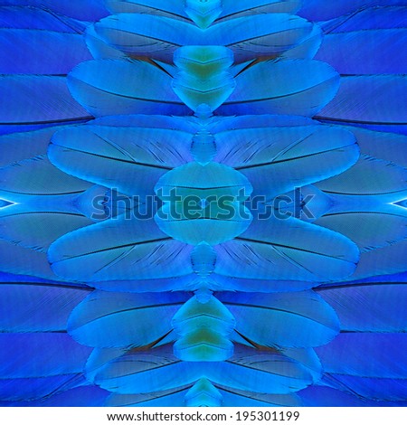 Beautiful of symmetric background made of blue and gold macaw bird feathers