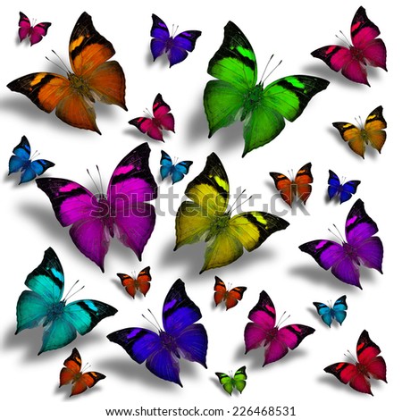 MIx of colorful Autumn Leaf butterflies flying in the great framing