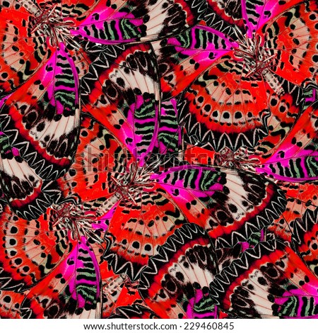 Beautiful Red and Pink Background Texture made of Leopard Lacewing Butterflies