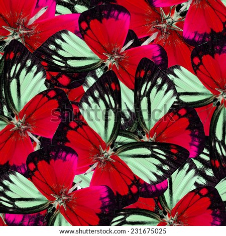 Exotic Red Butterflies piled up in to the beautiful background texture