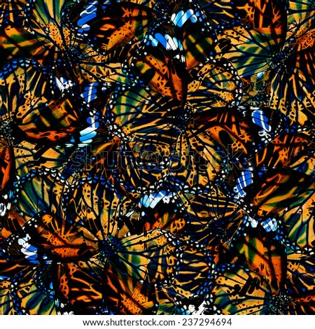 Exotic Tiger Skin Look Background Textured from Beautiful Common Tiger Butterflies