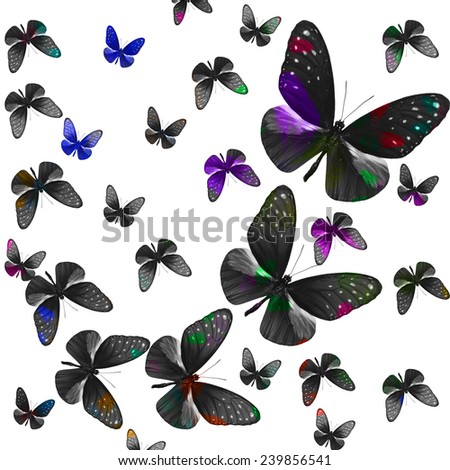 Beautiful flying Stripe Blue Crow butterflies in grey and black fancy color background texture