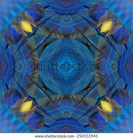 Exotic Background designed from Blue and Gold Macaw bird wings texture