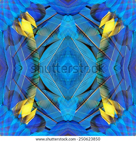 Elegant Background Texture designed from Blue and Gold Macaw bird wings feathers