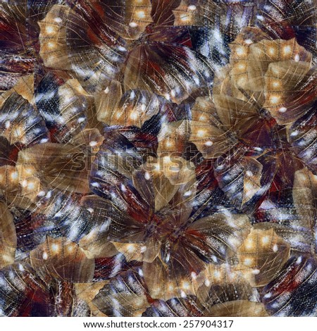 Exotic Brown and Maroon Background made from Pointed Palmfly Butterfly wing texture