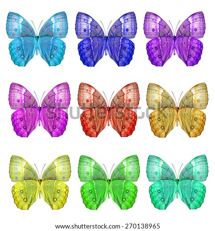 Exotic Set of Cambodian Junglequeen butterflies face profile in various fancy colors isolated on white background