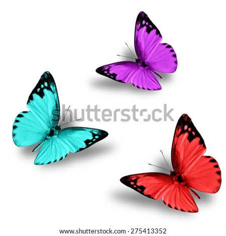Colorful butterflies, red, green, pink butterfly on white background with soft shadow