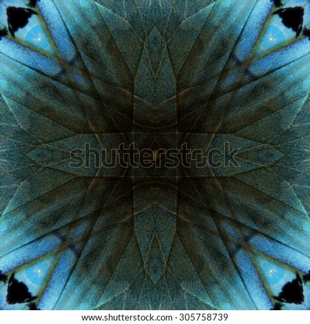 Exotic crossing lines on grey and pale blue background texture made of Cambodian Junglequeen buttefly wing skin