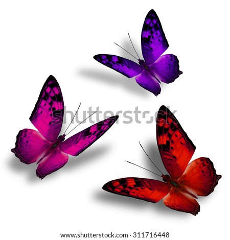 Set of beautiful flying red pink and purple butterflies on white background with nice soft shadows, exotic butterflies