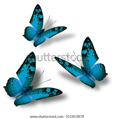 Set of beautiful flying  blue butterflies on white background with nice soft shadows, exotic butterflies