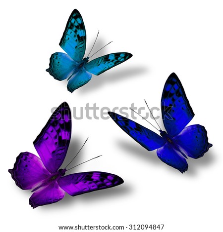 Set of beautiful flying purple and blue and green butterflies on white background with nice soft shadows, exotic flying butterflies