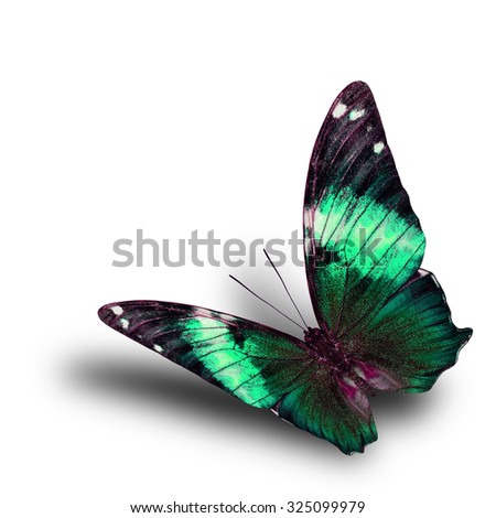 Beautiful flying green butterfly with shadow on white background, exotic green butterfly