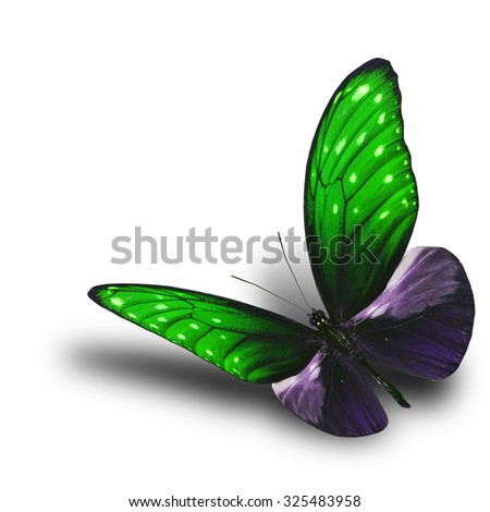Beautiful flying Striped Blue Crow butterfly in fancy green color with soft shadow on white background, the beautiful butterfly
