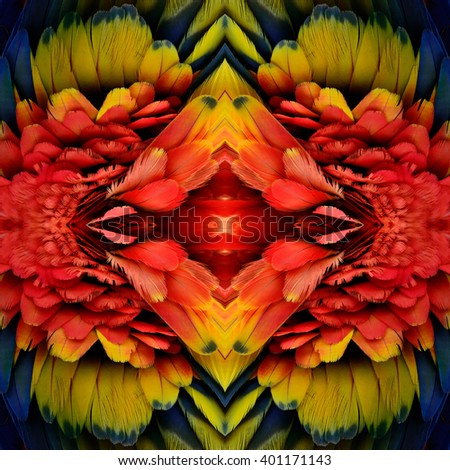 Exotic red and fire of colorful background made from Scarlet Macaw\'s parrot feathers, beautiful texture