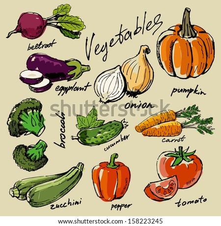 Hand Drawn Fresh Color Vegetables On Beige
