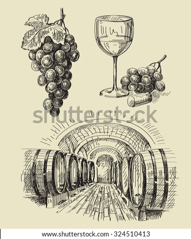 vector hand drawn barrels sketch and vineyard doodle