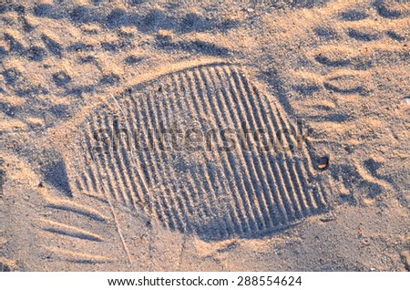 track on the sand shoe