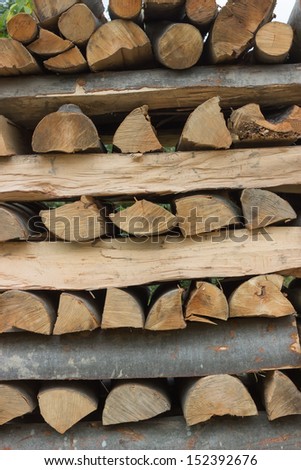 beech timber at lumber yard - chopped firewood on a stack