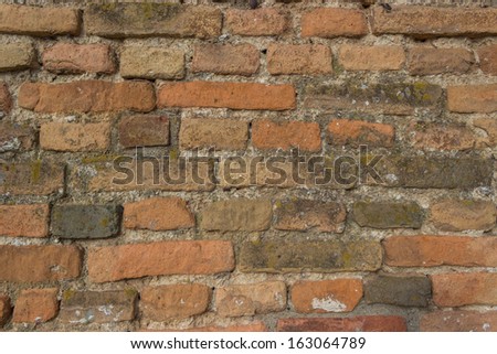 Moss on Bricks Mortar Wall background, Moss on Bricks background, Moss on Bricks Mortar Material Wall