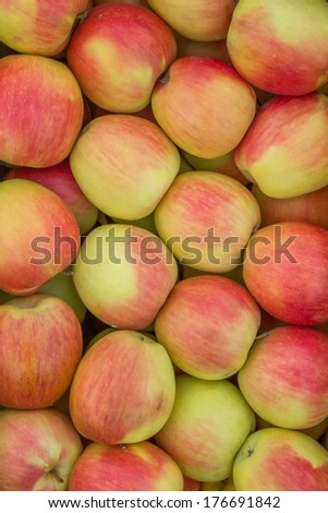 Organic red and yellow apples background. Red and yellow  Apple Fruit, Fresh and Crisp